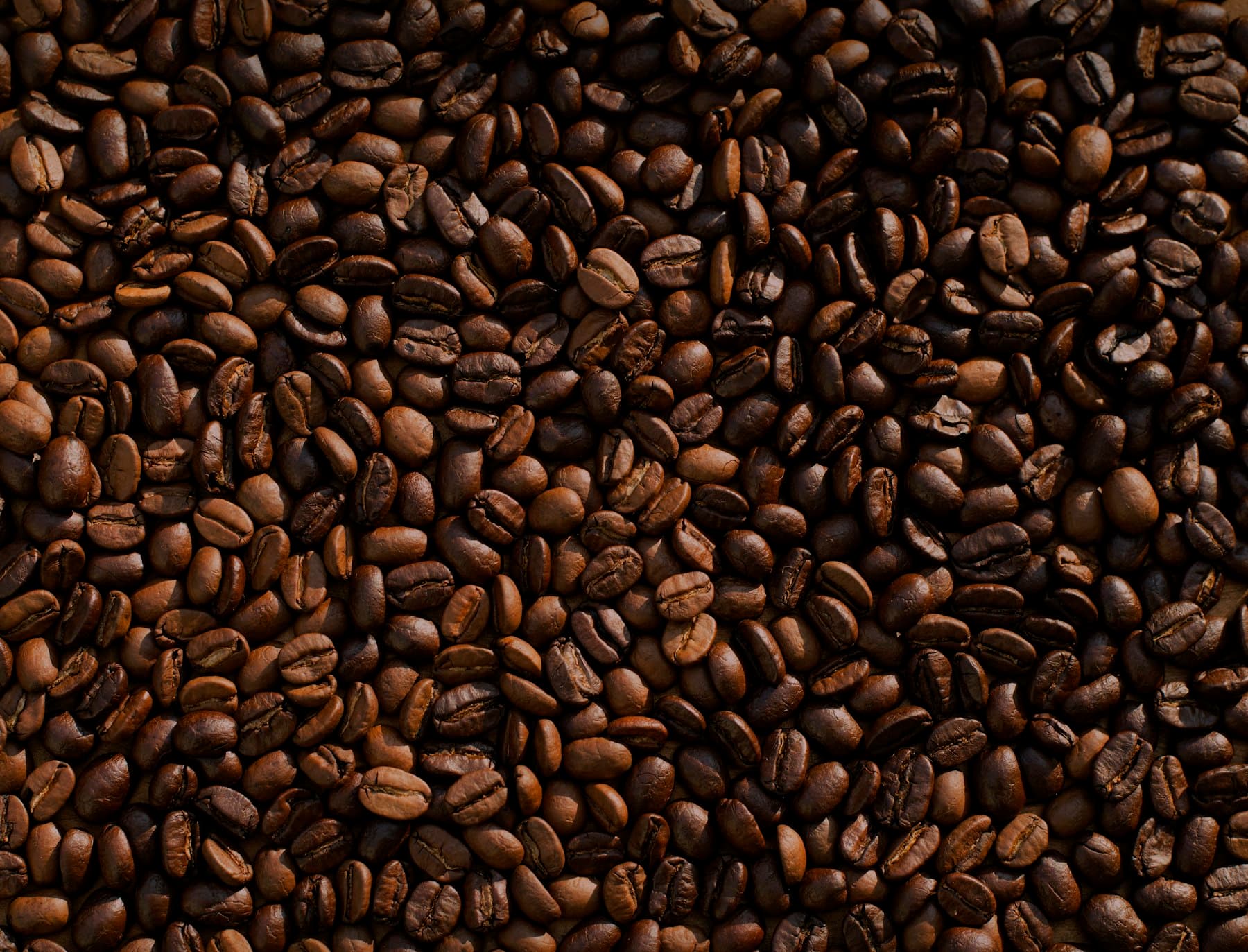 Grãos de café torrados, vistos de cima, lado a lado como uma textura densa